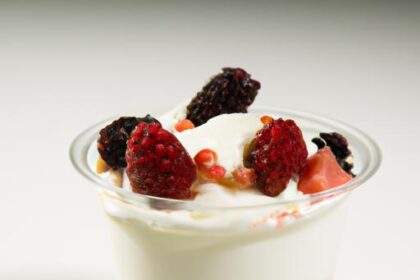 Layered Delight: Crafting the Perfect Fruit & Yogurt Parfait